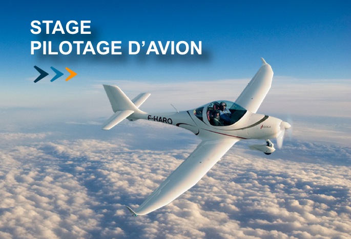 stage pilotage avion ecole skytraining